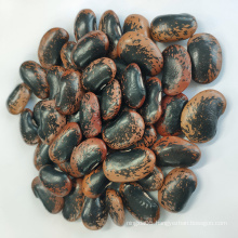 Large Black Speckled Kidney Beans